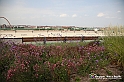 VBS_9791 - Parco Pensile Lingotto